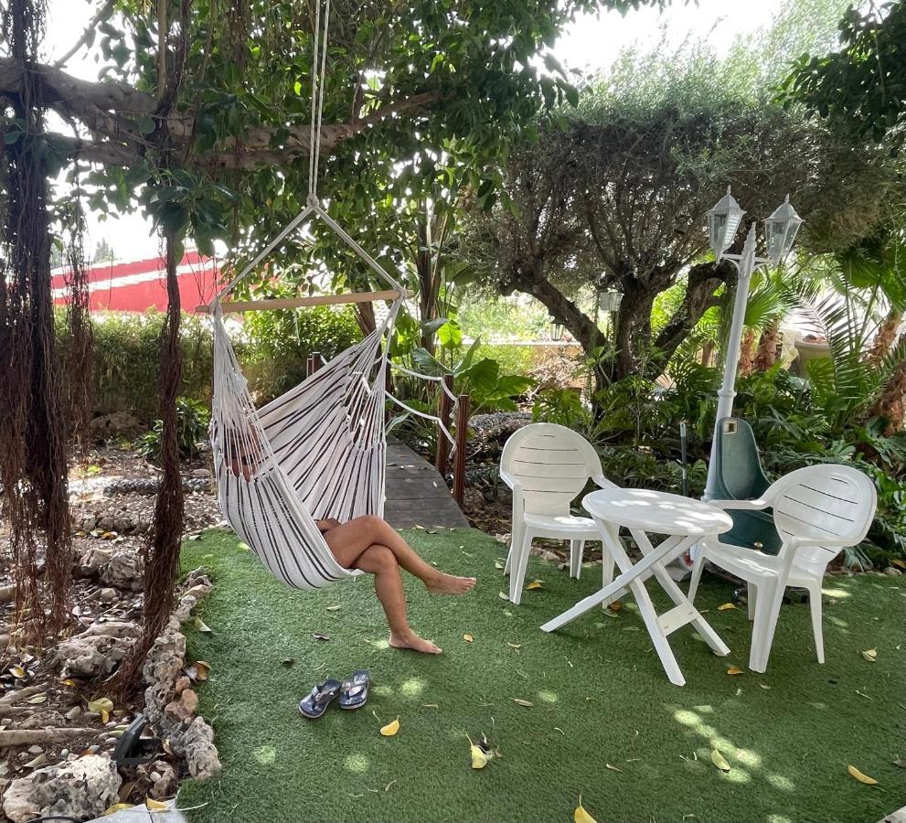 Habitacion Agregada, Suite Frente A La Piscina 2 P Habitacion No Casa Completa San Vicente Raspeig Esterno foto
